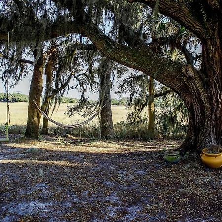 Secluded Tiny House By The Marsh With Hunting Island Beach Pass Frogmore Kültér fotó