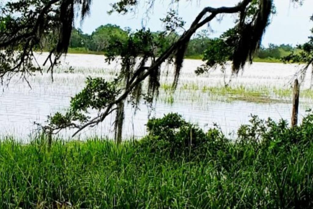 Secluded Tiny House By The Marsh With Hunting Island Beach Pass Frogmore Kültér fotó