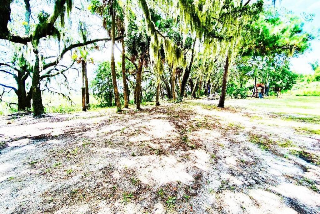 Secluded Tiny House By The Marsh With Hunting Island Beach Pass Frogmore Kültér fotó
