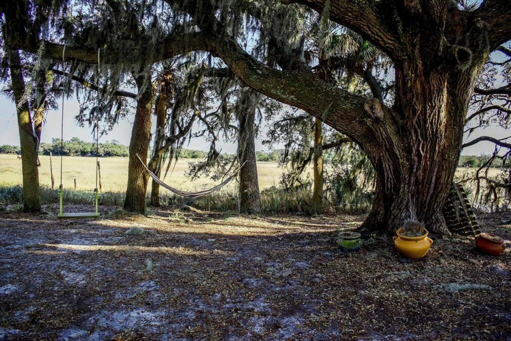 Secluded Tiny House By The Marsh With Hunting Island Beach Pass Frogmore Kültér fotó